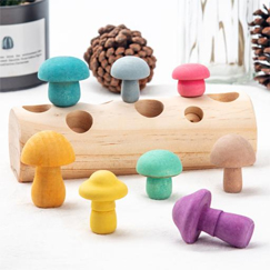 Montessori Wooden Educational Toys